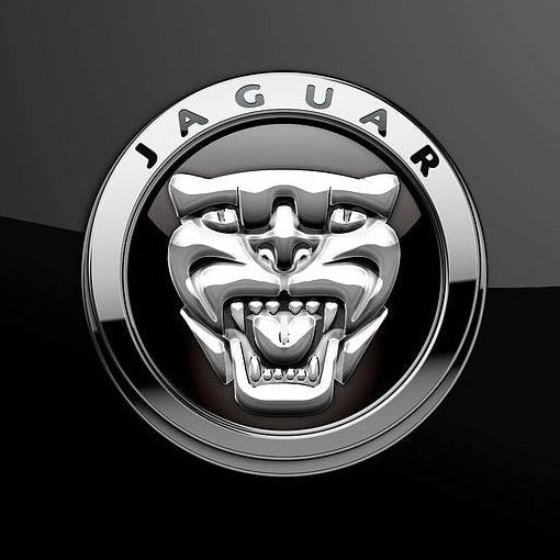 LUCES JAGUAR LOGO PROJECROTR Nr.06 (cantidad 1 = 1 juegos / 2 luces de puerta)
