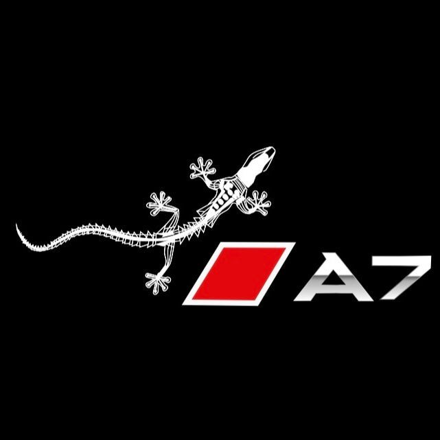 LUCES DE PROYECTOR LOGO AUDI No 120 (cantidad 1 = 2 películas con logotipo / 2 luces de puerta)