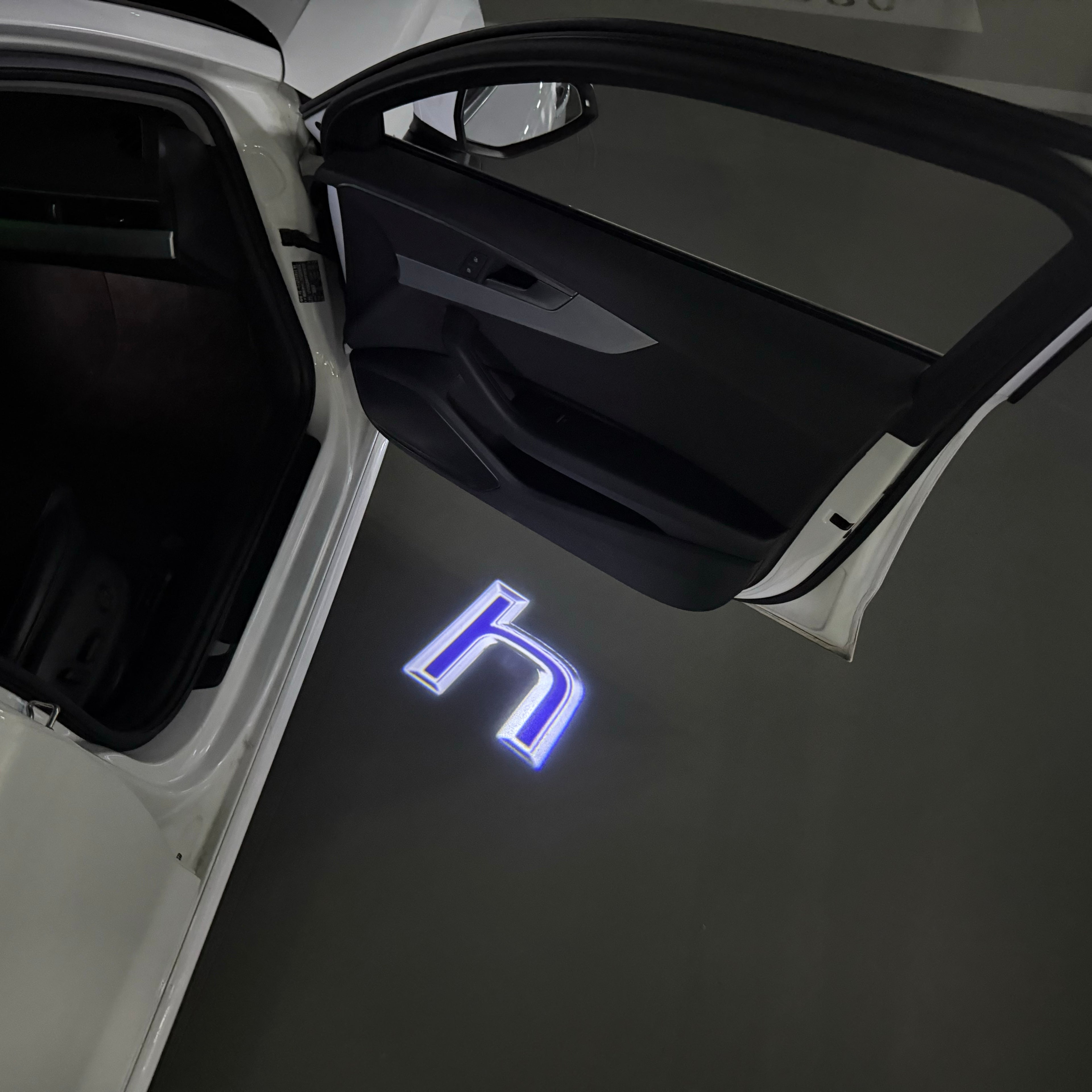 LEXUS LOGO PROJECROTR LIGHTS Nr.01 (quantità 1 = 1 set / 2 luci porta)