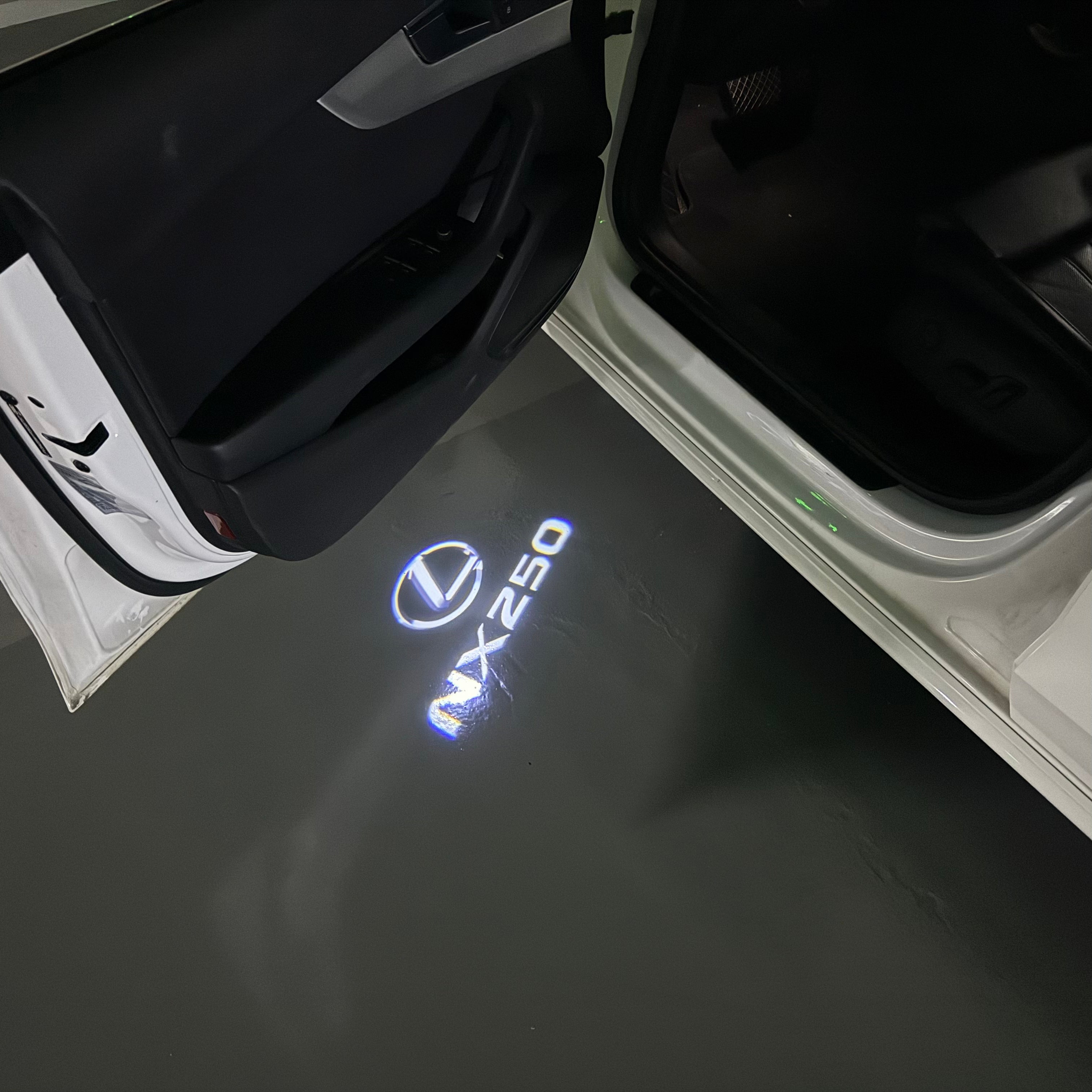 LEXUS LOGO PROJECROTR LIGHTS Nr.01 (quantità 1 = 1 set / 2 luci porta)