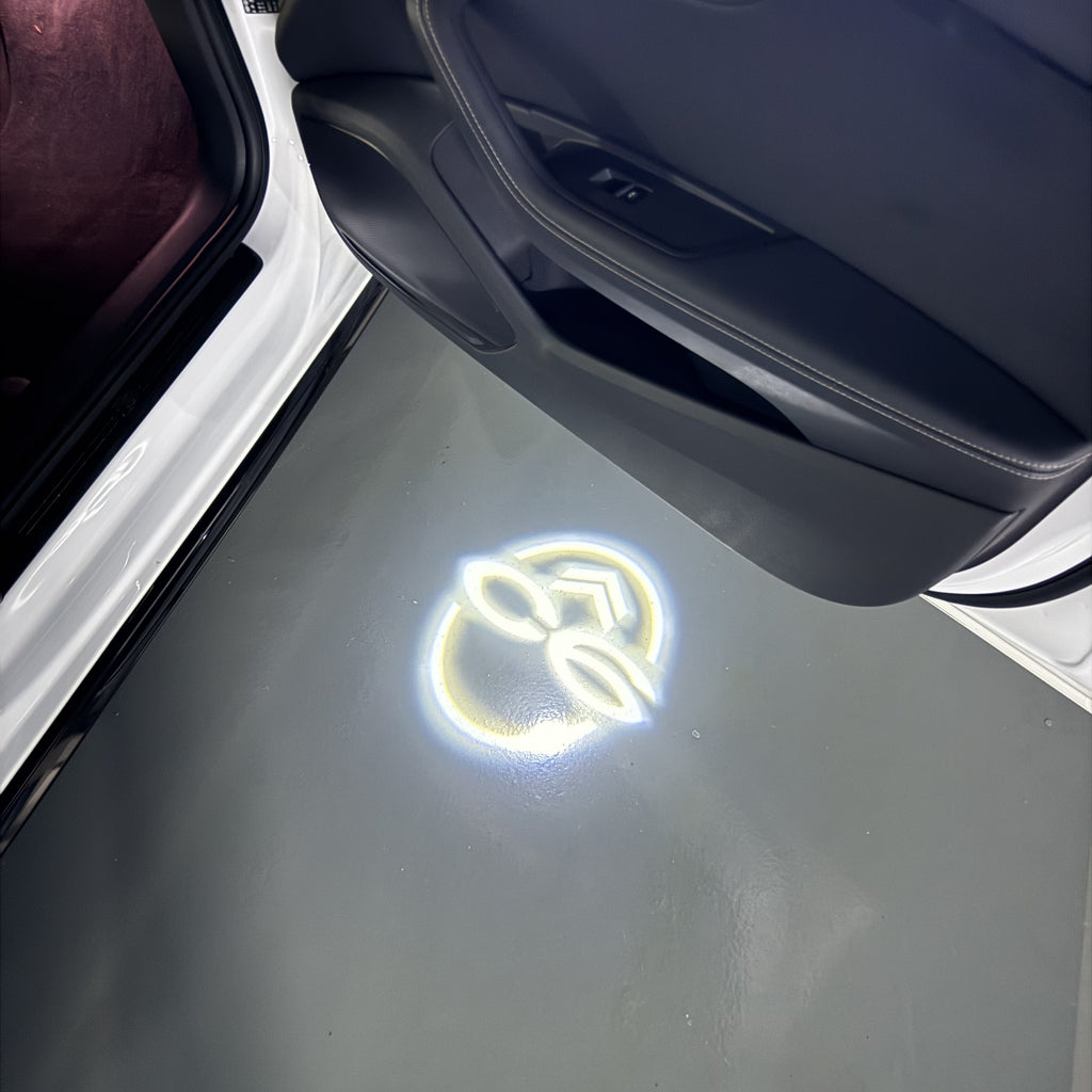 BMW M3 LOGO PROJECTOT LIGHTS Nr.24 (quantità 1 = 1 set/2 luci porta)