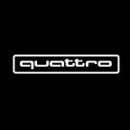 AUDI LOGO PROJECTOT LIGHTS Nr.85 (quantità 1 = 2 Logo Films /2 luci porta)