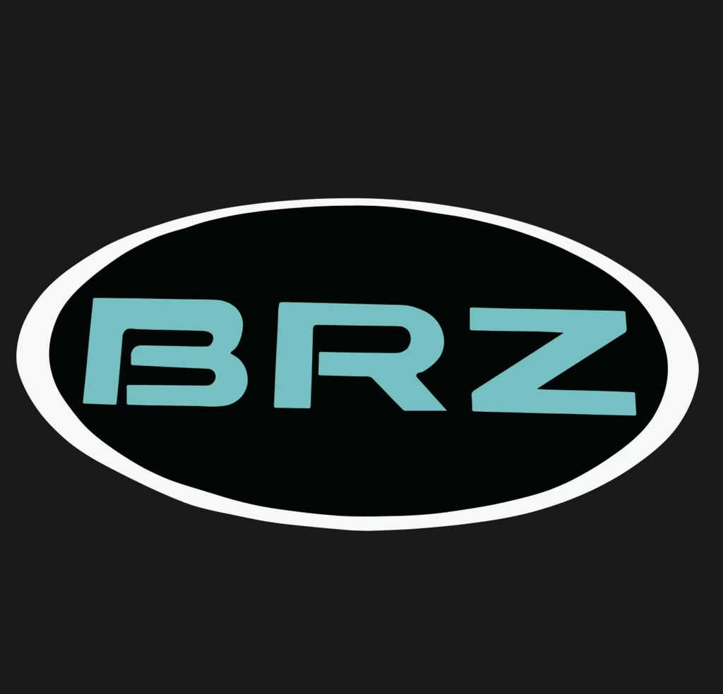 BRZ LOGO PROJECROTR LIGHTS Nr.03 (quantité 1 = 1 ensemble/2 feux de porte)