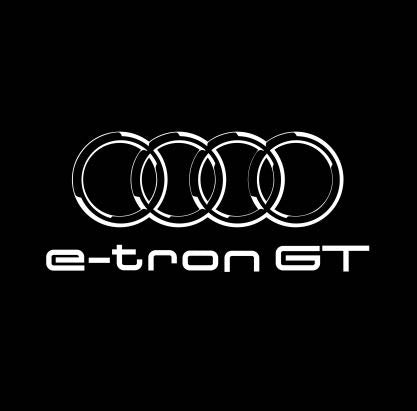 AUDI LOGO PROJECTOT LIGHTS Nr.19 (quantità 1 = 2 Logo Films /2 luci porta)