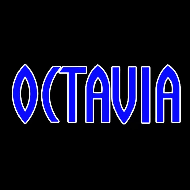 SKODA LOGO PROJECTOT LIGHTS Nr.102 (quantité 1 = 2 Logo Film / 2 feux de porte)