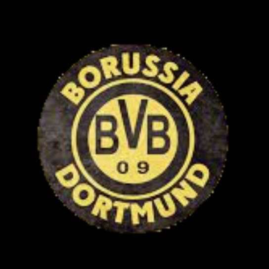 BVB DORTMUND Football CLUB Logo Nr.235 (الكمية 1 = 2 فيلم شعار / 2 مصباح باب