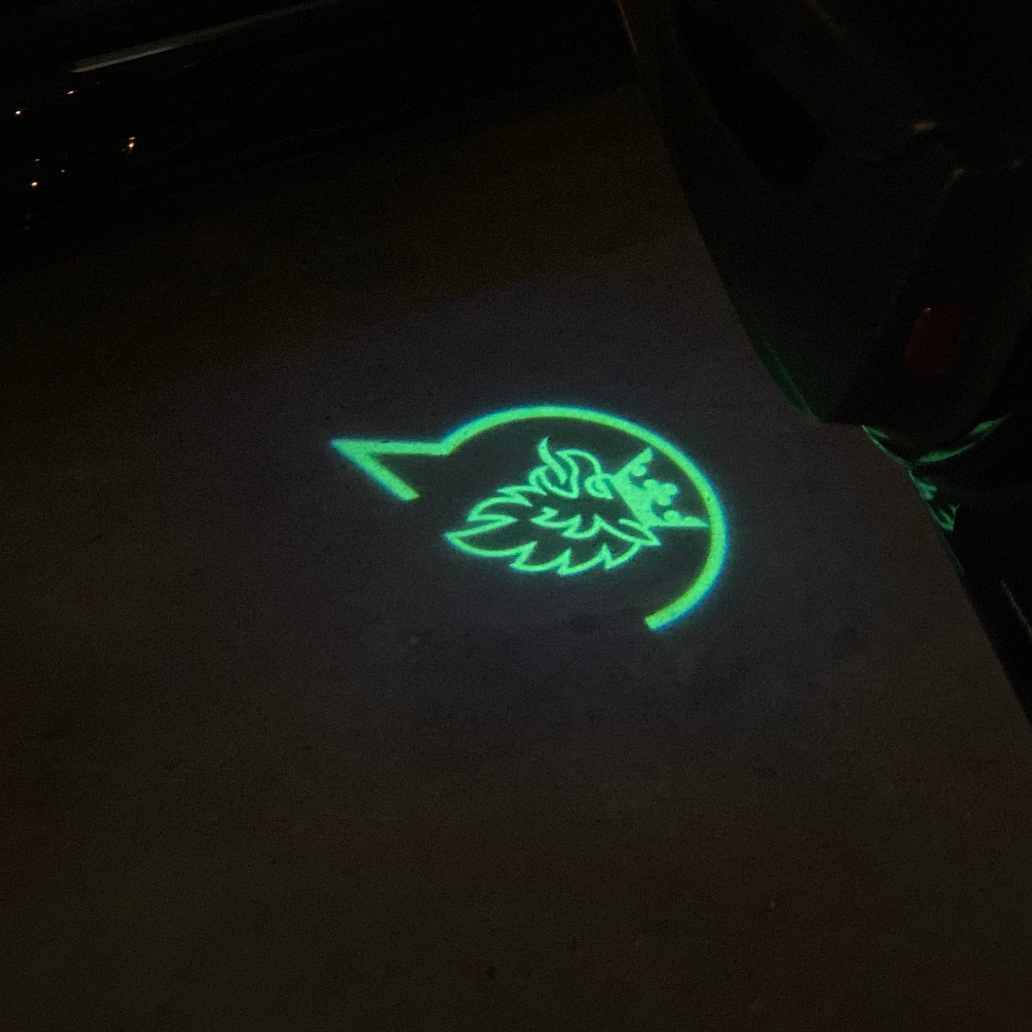 SAAB  Original LOGO PROJECROTR LIGHTS Nr.2517  (quantity 1 = 1 sets/2 door lights)