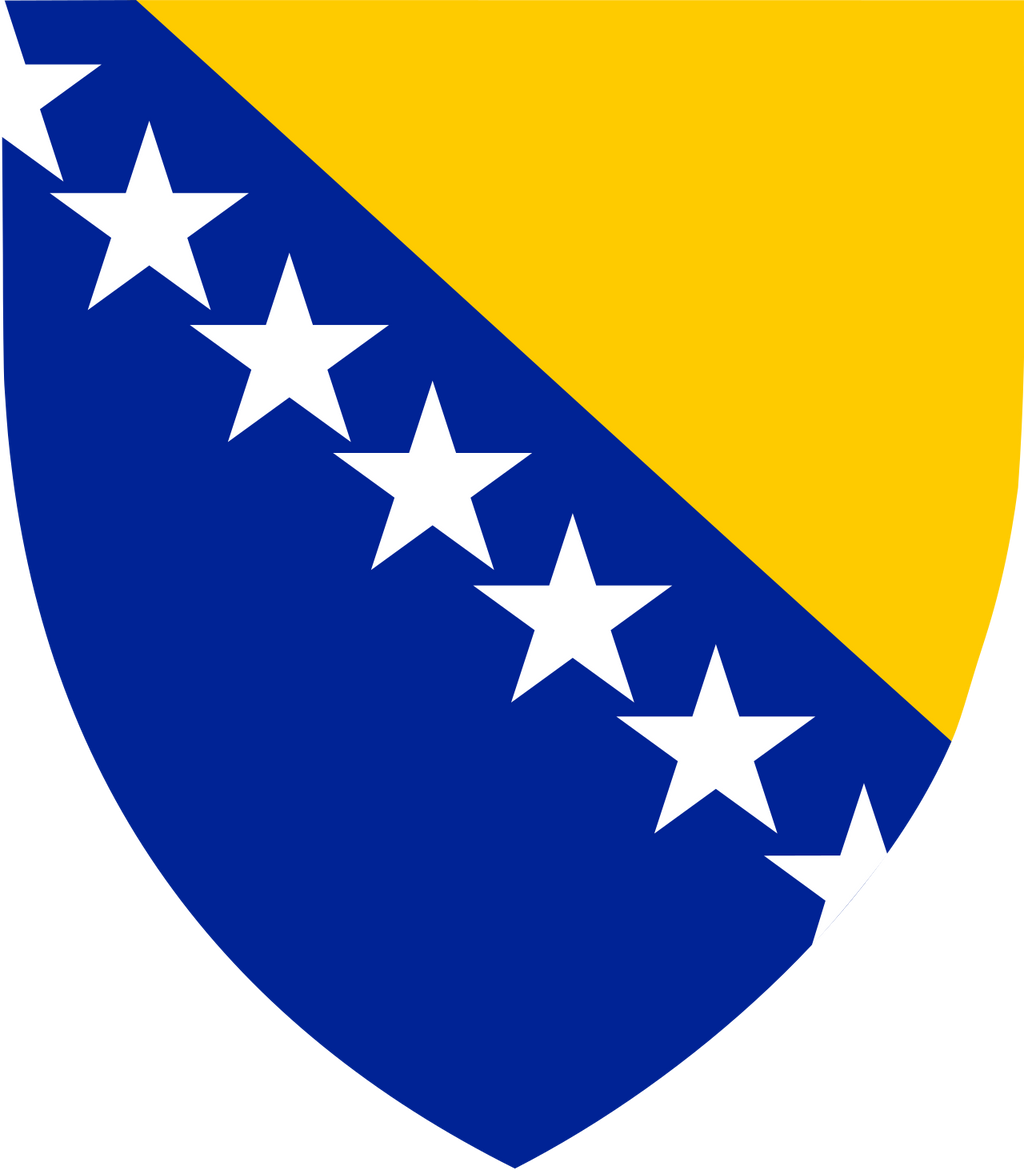 Bosnia and Herzegovina /Bosna i Hercegovina／Босна и Херцеговина  National Flag  logo door lights  (quantity 1 = 1 sets / 2 logo film /  Can replace of lights  other logos )