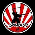 JDM LOGO PROJECTOT LIGHTS Nr.02 (cantidad 1 = 1 juego/2 luces de puerta)