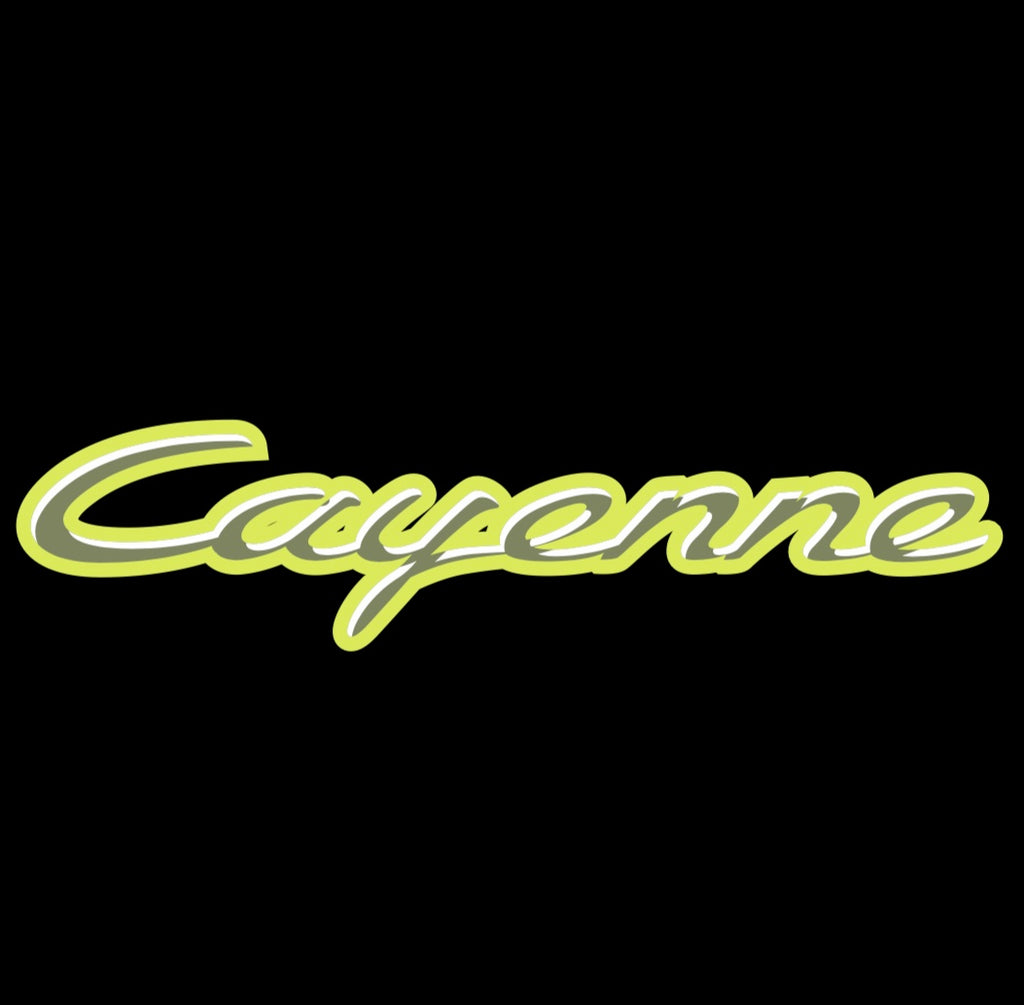 PORSCHE Cayenne LOGO PROJECTOT LIGHTS Nr.09 (quantità 1 = 2 Logo Film / 2 luci porta)