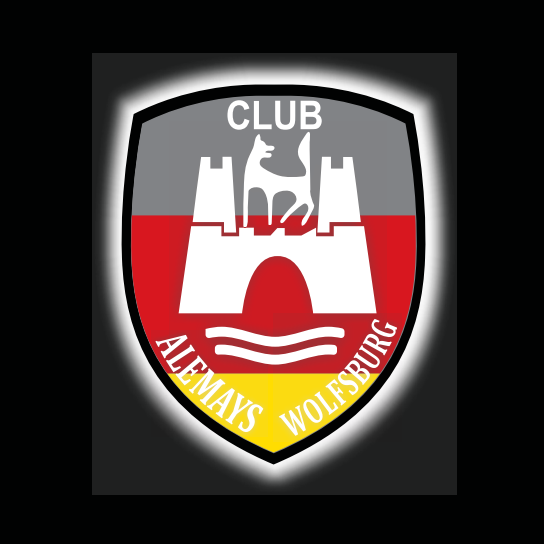 Volkswagen Türleuchten Logo Nr. 162 (Menge 1 = 2 Logofolie / 2 Türleuchten)