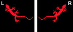 AUDI QUATTRO GECKO LOGO PROJECROTR LIGHTS Nr.66 (Menge 1 = 2 Logo Films /2 Türlichter in der Kombi-Zone Nr.65289;